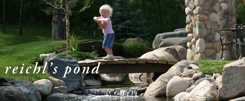 Introducing Reichl's Pond.