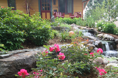 Image:  Tier One Landscape foundation plantings.