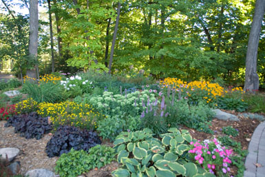 Image: Tier One Landscape garden.