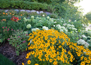 Image: Tier One Landscape specialty garden.