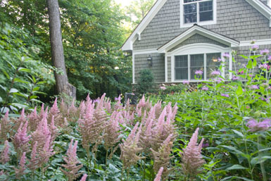 Image: Tier One Landscape naturalizing.