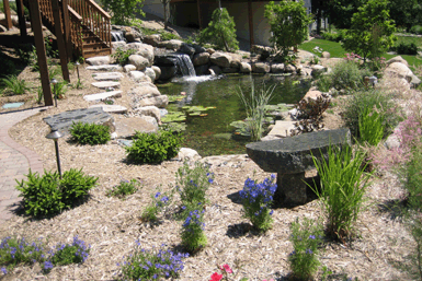 Image:  Tier One Landscape plantings and mulch.