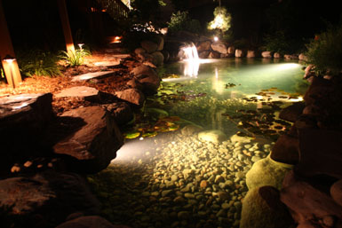 Image: Tier One Landscape pond lighting.