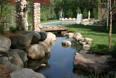 Image: The Reichl mid-pond.