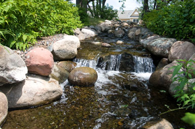 Image: Tier One Landscape stream.