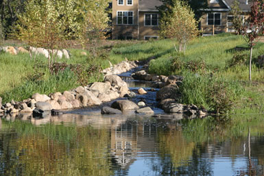Image: Tier One Landscape stream.