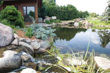 Image: Tier One Landscape swimmable pond.