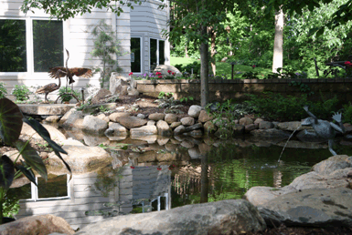 Image: Tier One Landscape swimmable pond.