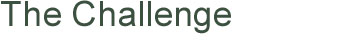 Page Title: The Challenge