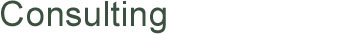 Page Title: Consulting
