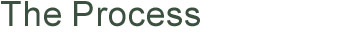 Page Title: The Process