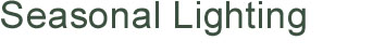 Page Title: Seasonal Lighting