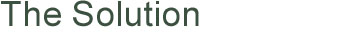 Page Title: The Solution