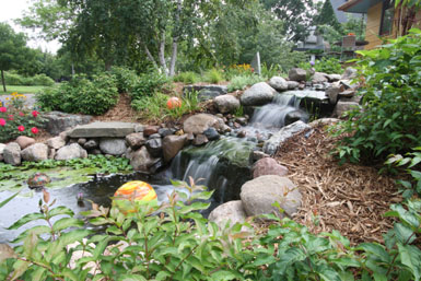 Image: Tier One Landscape waterfall.