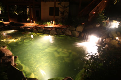 Image: Tier One Landscape pond and landscape lighting.
