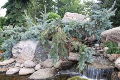 Image: Tier One Landscape specialty garden.